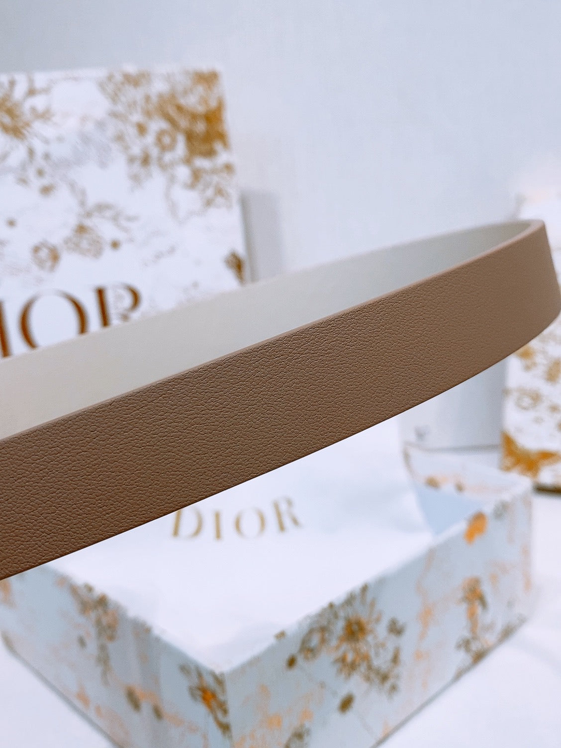 DIOR 25S BELT 20 MM IN LIGHT BEIGE BROWN CALFSKIN 572903